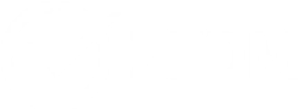 ZFDM